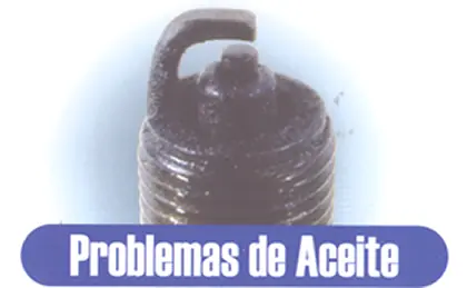bujias