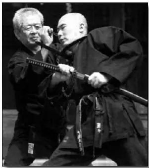 ninjutsu