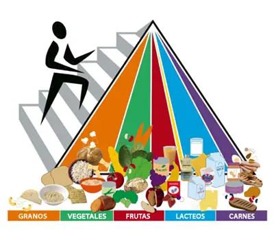 Alimentos y Malestares