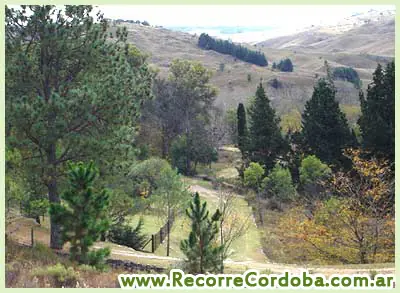 los pozos