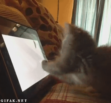 Gifs