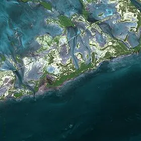 mas