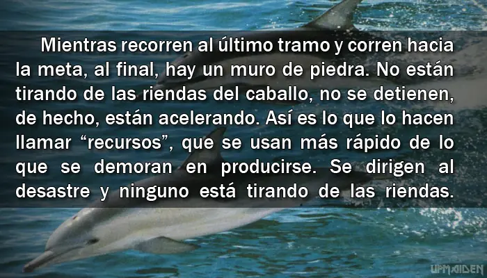 Reflexión