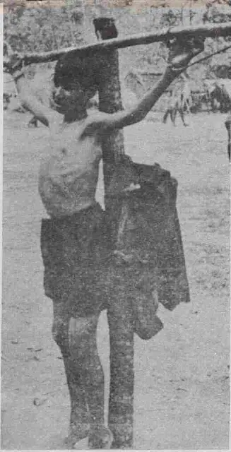 las mejores fotos de la historia