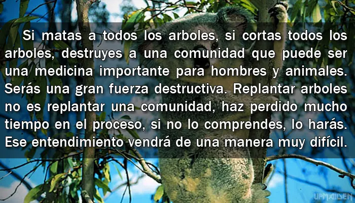 Filosofía