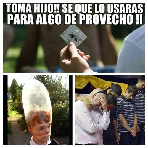 fotos