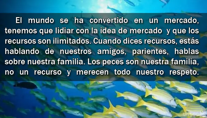 Todos somos uno