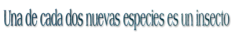 nuevas especies