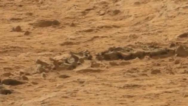 El Curiosity fotografio un esqueleto animal en marte