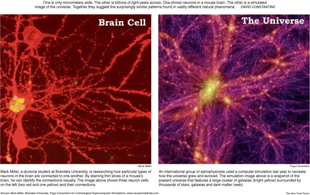 ciencia