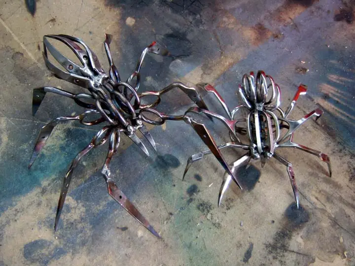 spider
