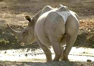 imagenes