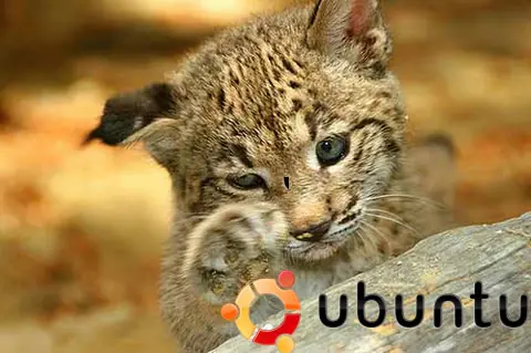Ubuntu