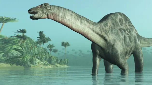 ¿Es posible clonar a los dinosaurios?