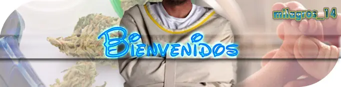 5 mitos sobre las drogas ilegales