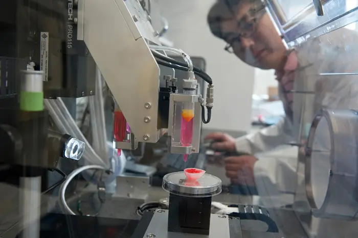 Simulan un "Cuerpo en un Chip" para testear nuevos