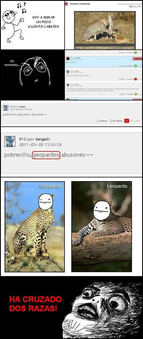 graciosas