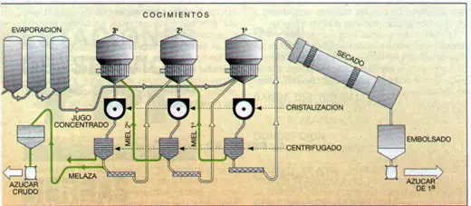 azucar y edulcorantes ,peligrosos,dulce veneno