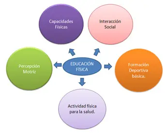 Educación Física, Deporte y Nutrición (Megapost)!! :D