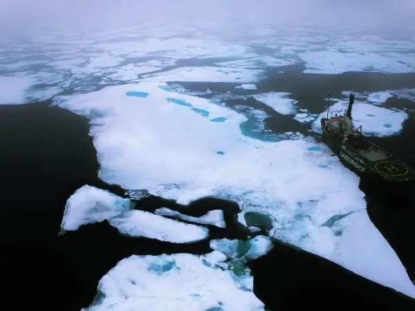 greenpeace