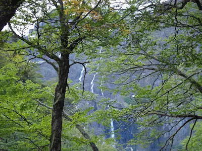san martin de los andes