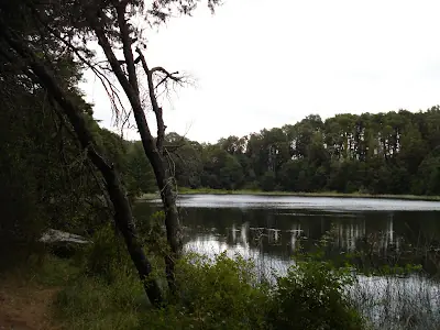 viaje