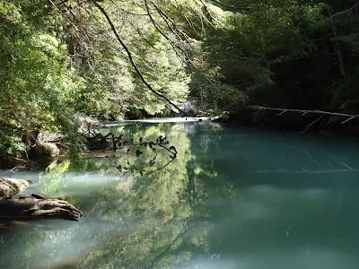 patagonia