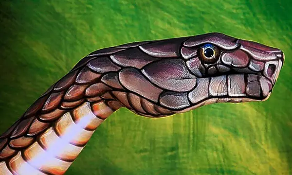arte con los dedos y manos