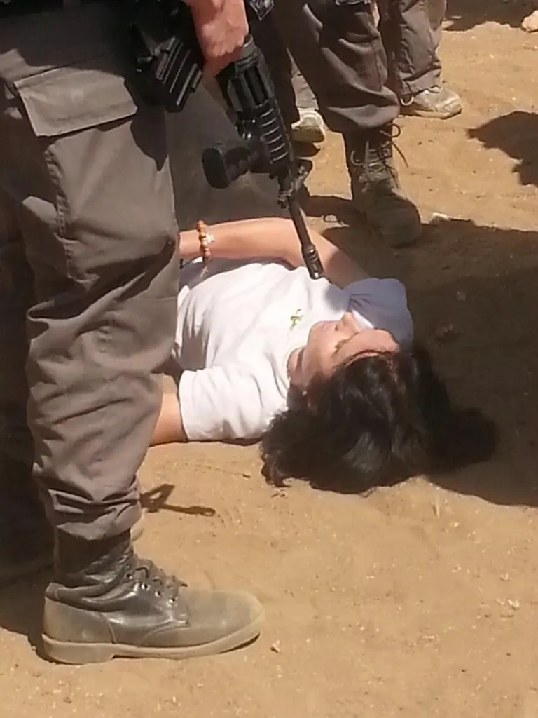 La verdad detrás de las manifestaciones en Palestina