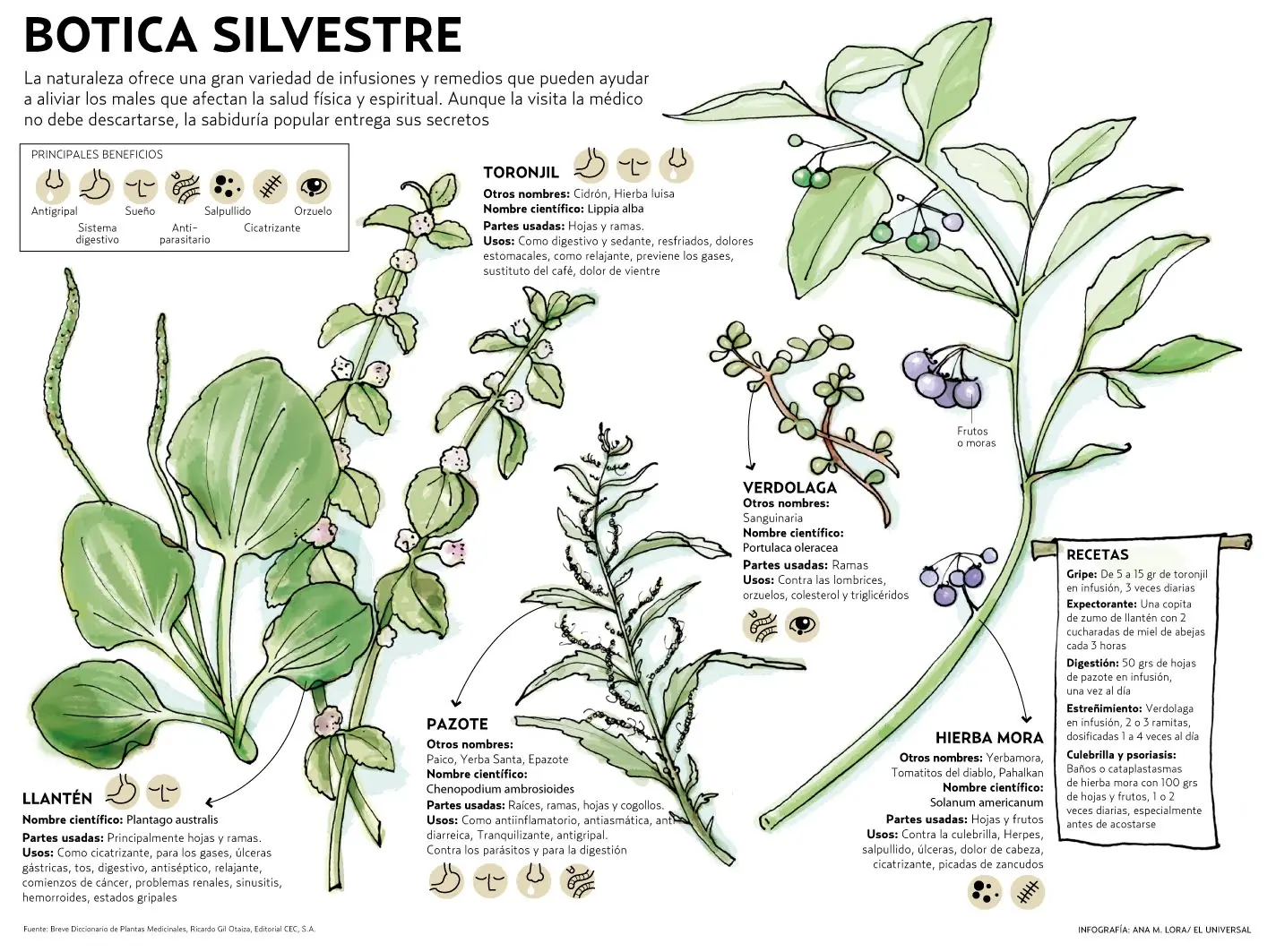 Hay que Tener Control con Plantas Medicinales