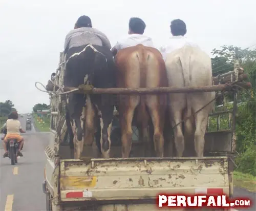 peru