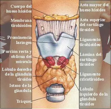 tratamiento