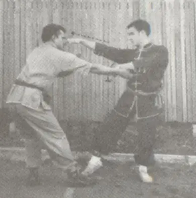 bruce lee