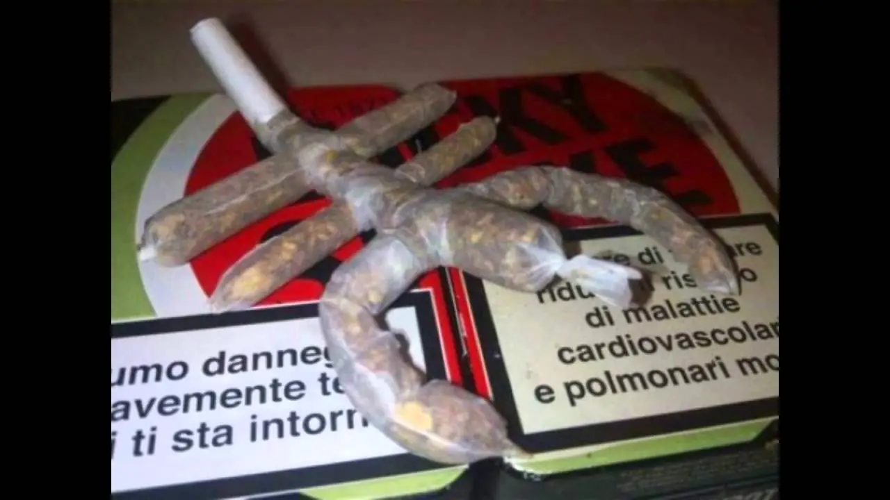 porro