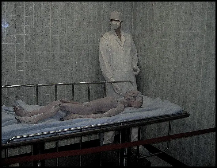 Estos 5 mitos son falsos! Entrá a enterarte