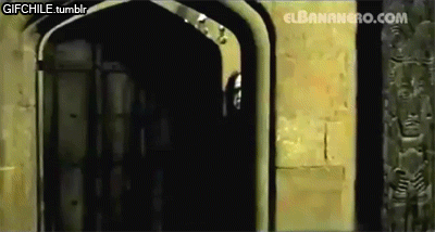 Llego el Bigoteeee !!! [Gif's de El Bananero]
