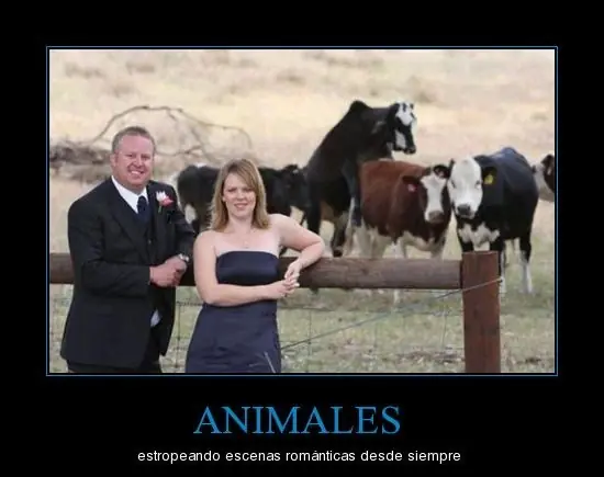 Reirse es saludable!!! empieza ya :)  parte III