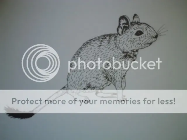 dibujos