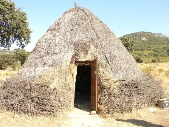 africa