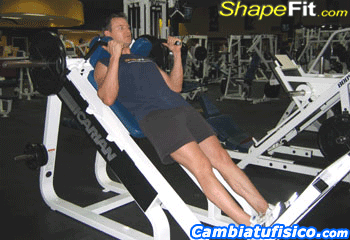 cuadriceps