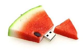 software