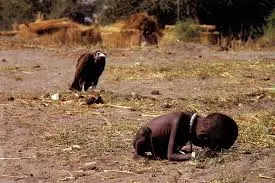 imagenes