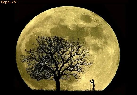 Datos Interesantes de Nuestra Luna.