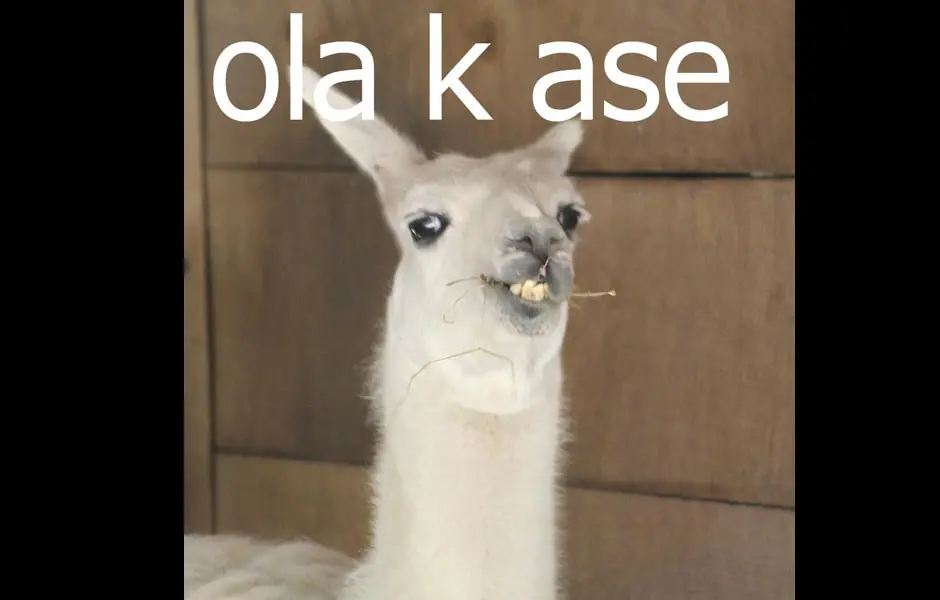 De donde viene el origen "ola k ase"