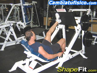 gimnasio