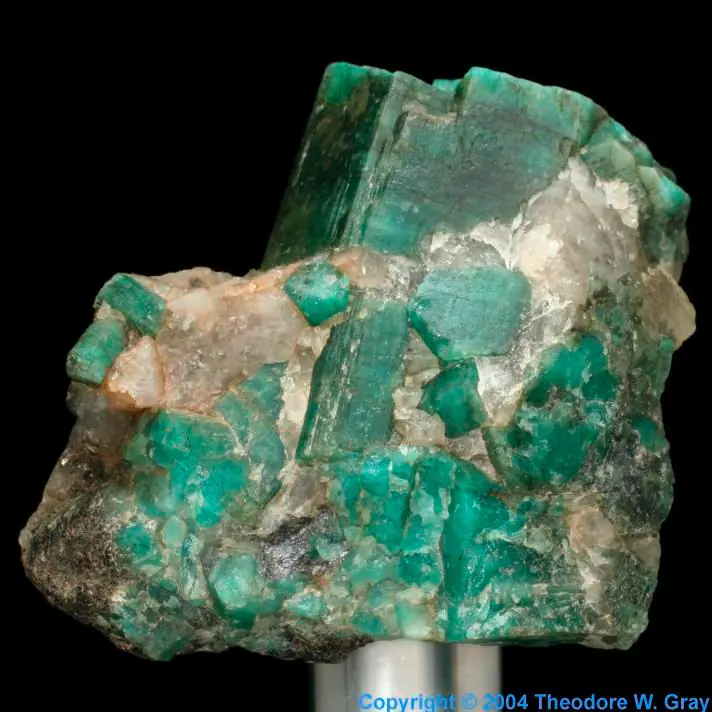 toxico