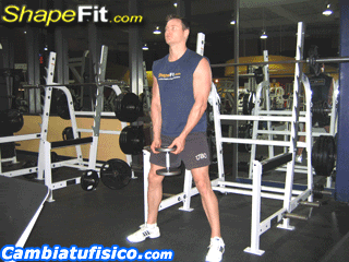 cuadriceps