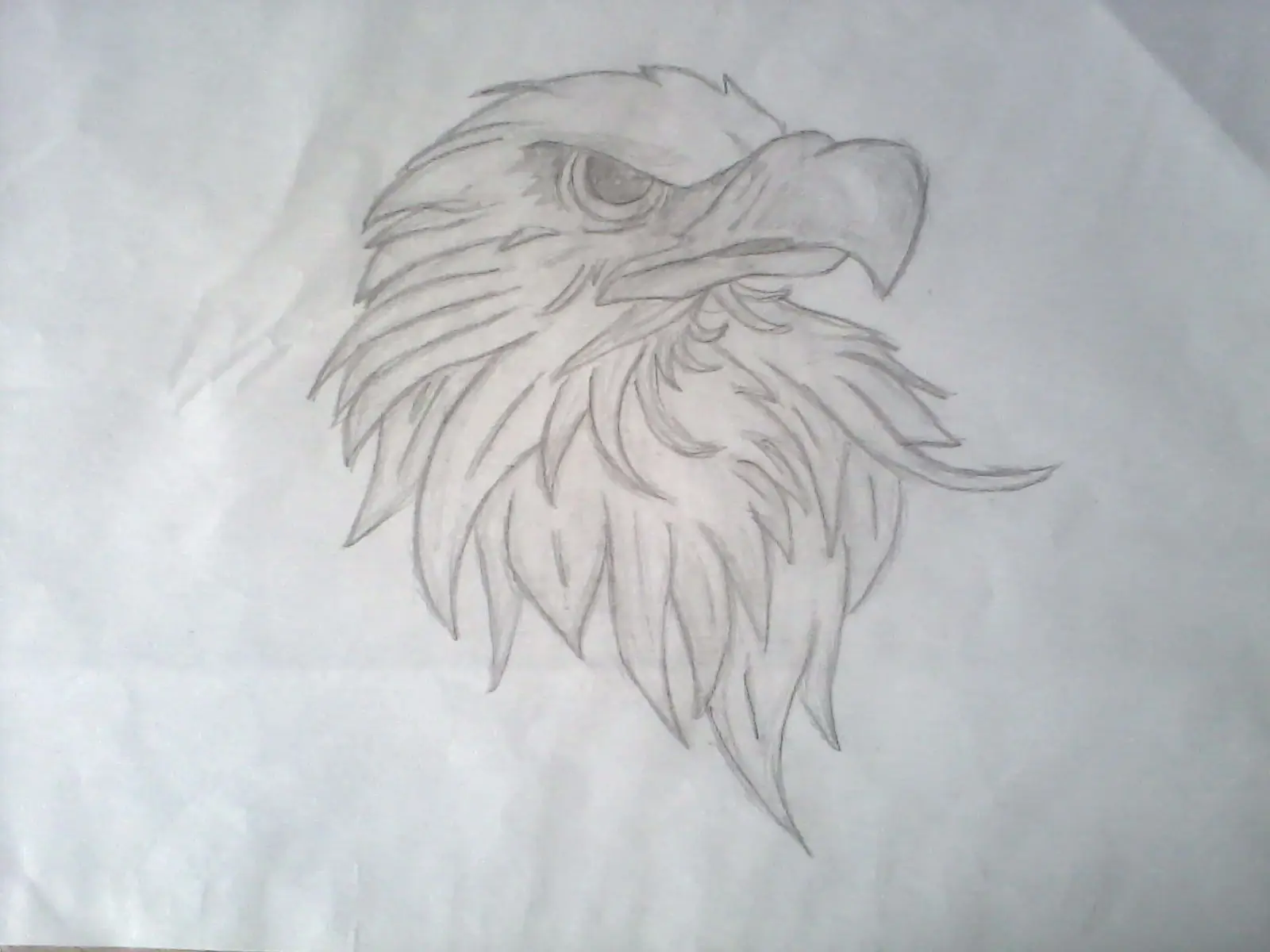 Los dibujos qe te gustan en un solo post