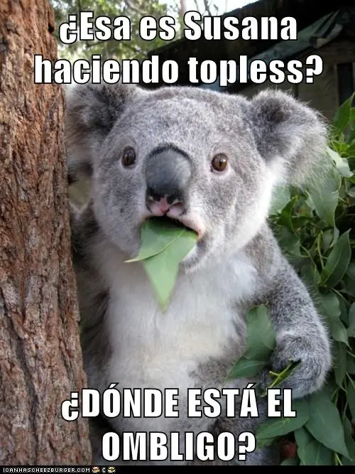 jaja