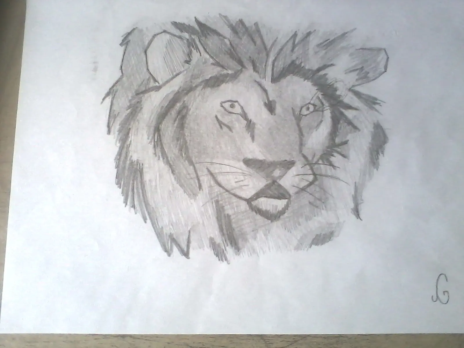 Mis Dibujos